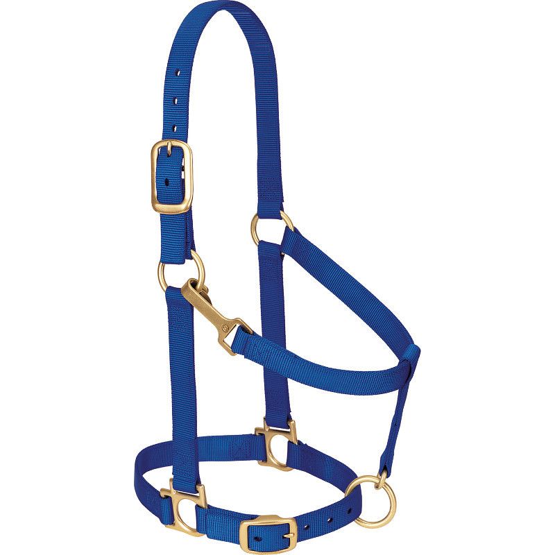 Adjustable Chin and Throat Snap Halter Regular Size