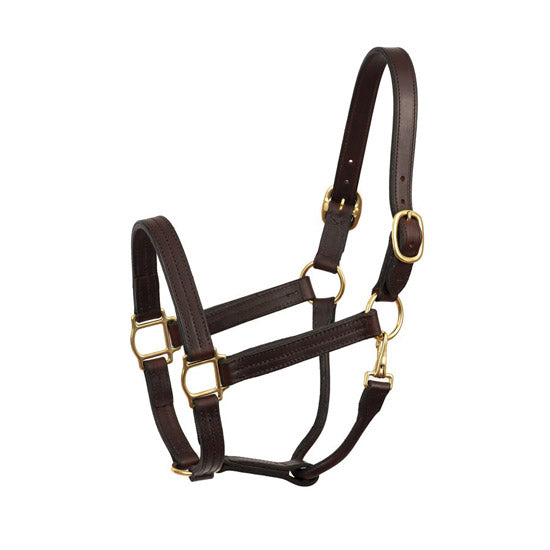 Perris Leather Heavy Weight Track Halter