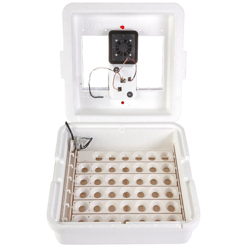 Little Giant Deluxe Incubator w/Egg Turner