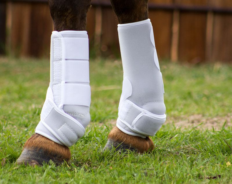 XL Front or Hind Rehabilitation Boot