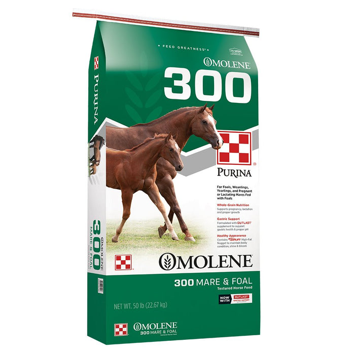 Omolene 300 Mare and Foal