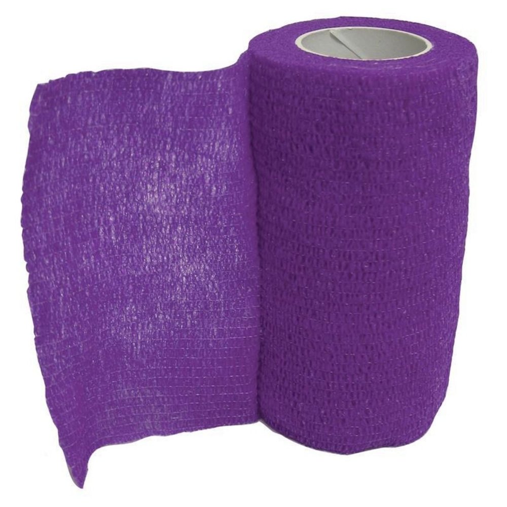Animal Supplies International