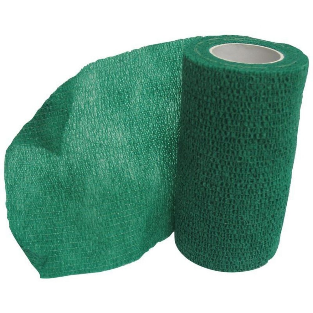 Animal Supplues International