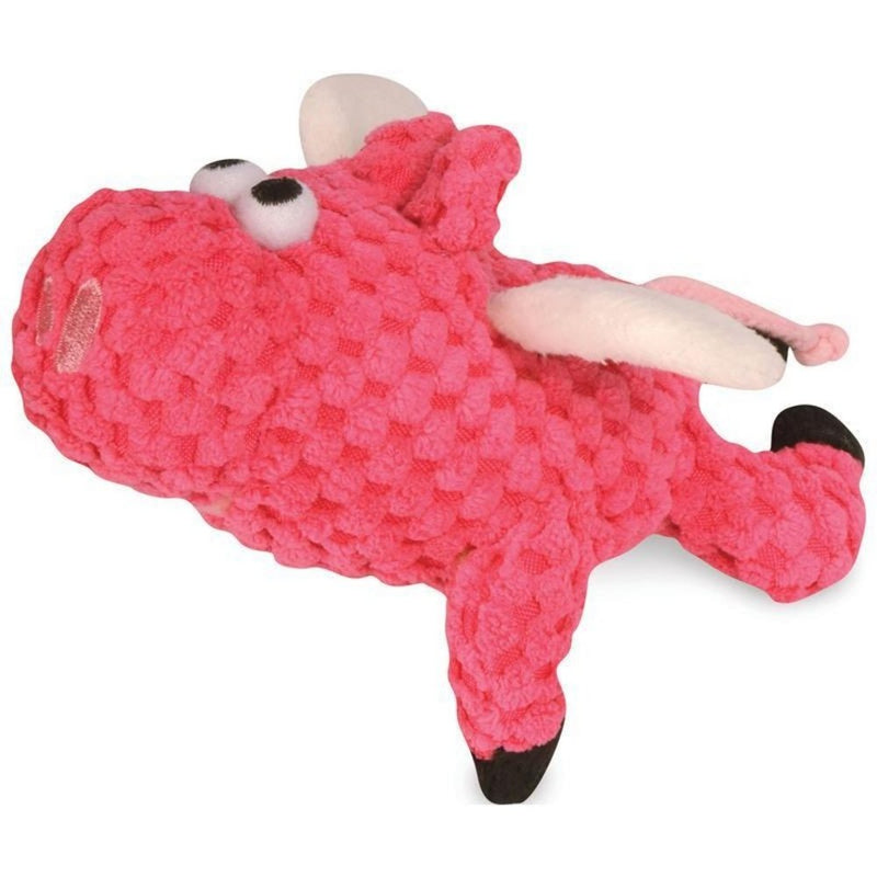 Flying Pig