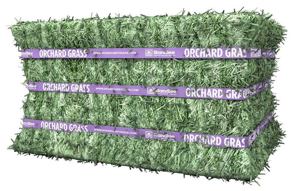 Orchard Grass Compressed Bale
