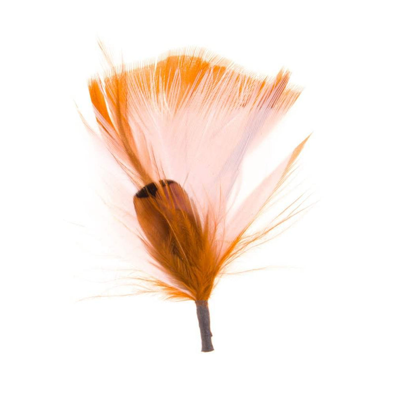 Austin Accent Inc. White Feather Hat Accent