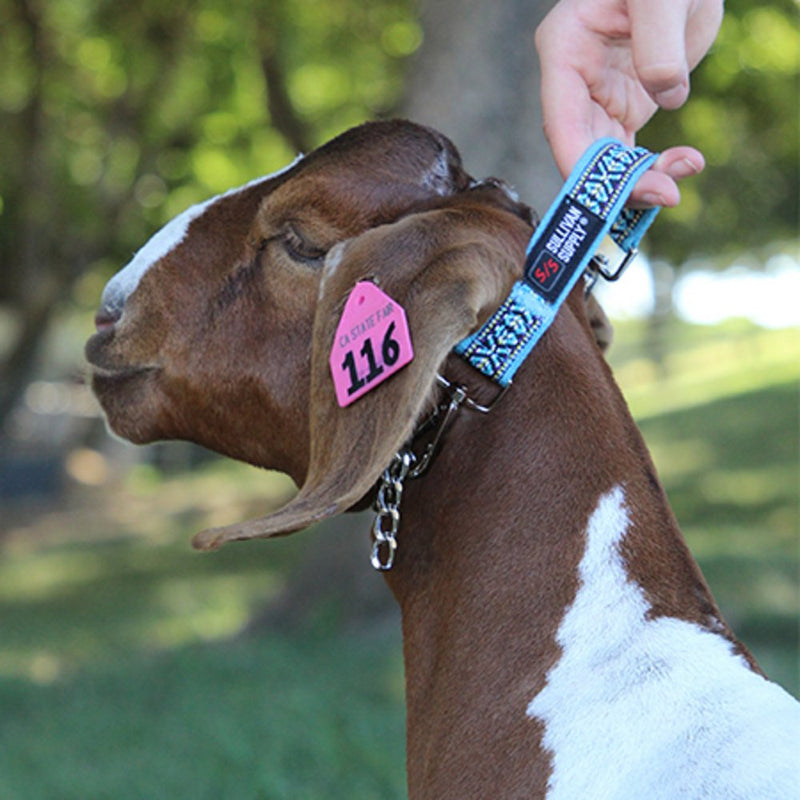 Free Spirit Lead Teal