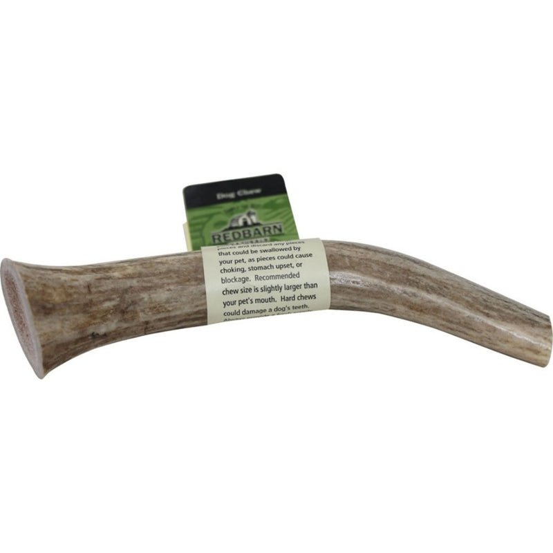 Whole Elk Antler