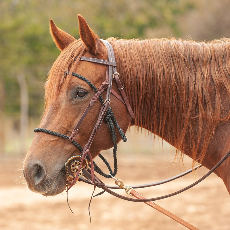 Mule Tape Bonnet