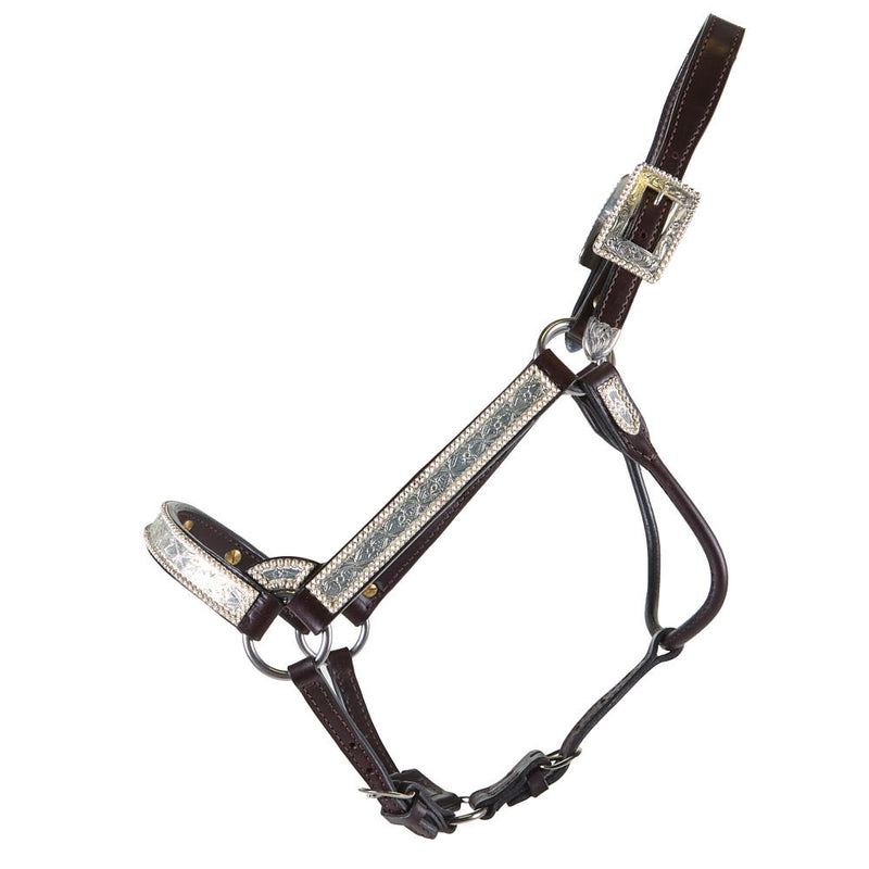Kathys Show Equipment 102 Regular Cut Santana Halter