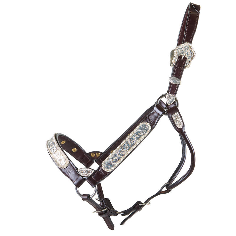 Kathys Show Equipment 255 Congress Cut Santana Halter