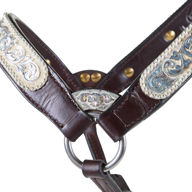 Kathys Show Equipment 255 Congress Cut Santana Halter