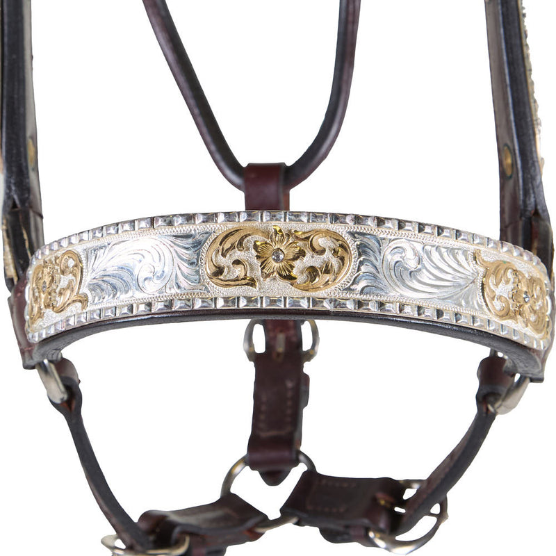 Kathys Show Equipment 310 Congress Cut Santana Halter
