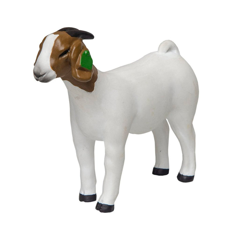 Grand Champion Boer Doe