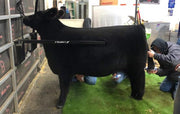 , Straight Up Bars for Livestock