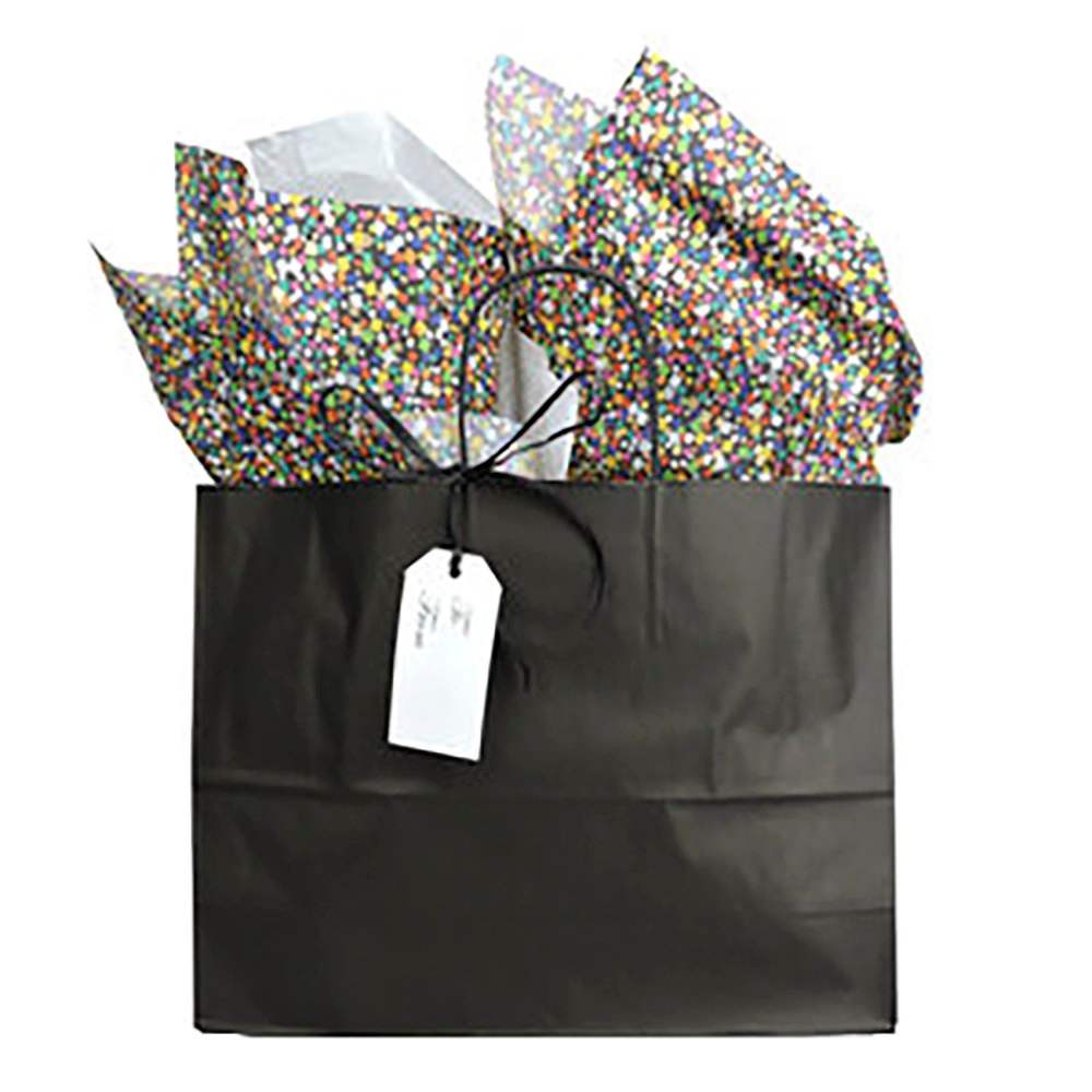The Sample House Black Gift Bag with Confetti Tissue Paper — NRS