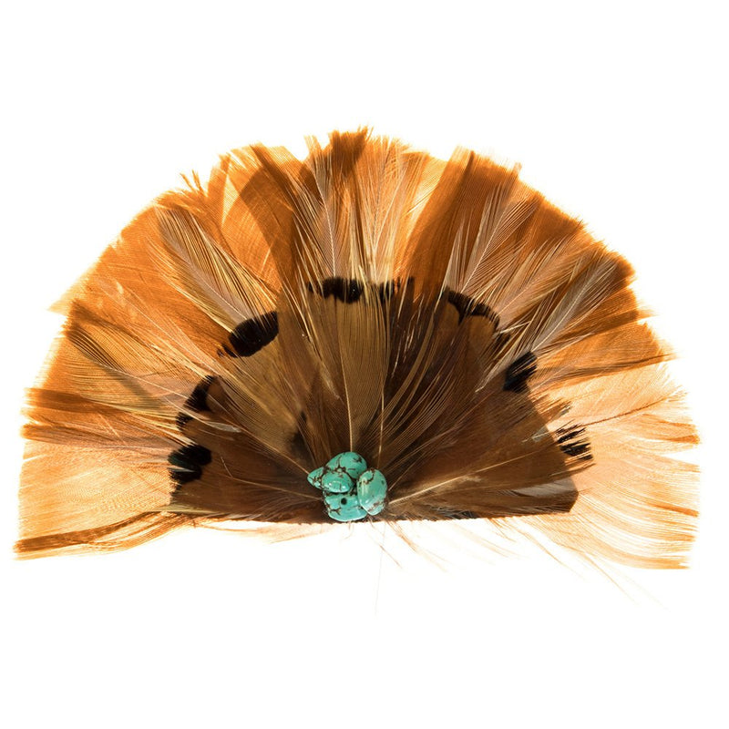 Brown and Turquoise Feather Crest