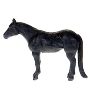 Black Quarter Horse