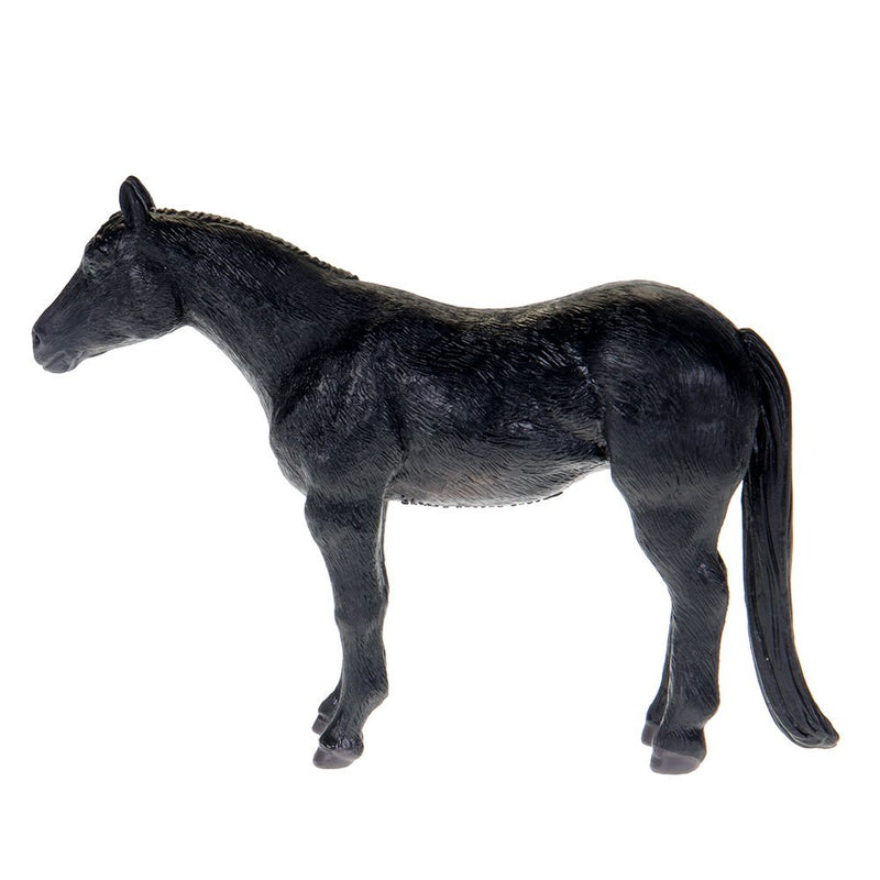 Black Quarter Horse