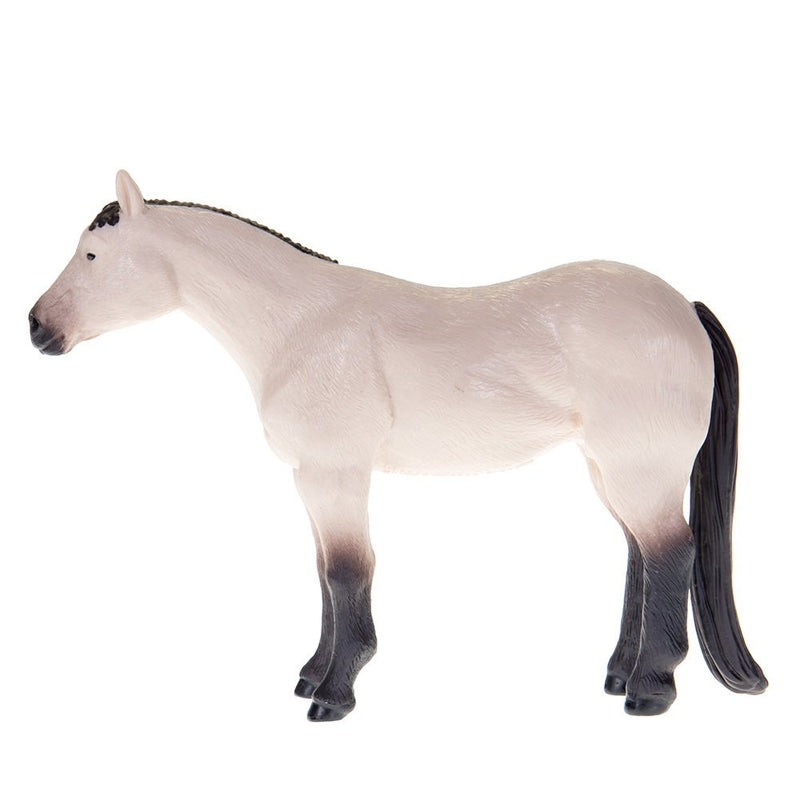 Buckskin Quarter Horse