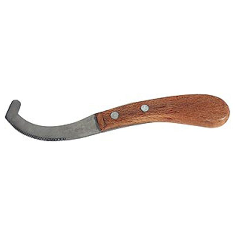 Bot Egg Scraper with Wood Handle