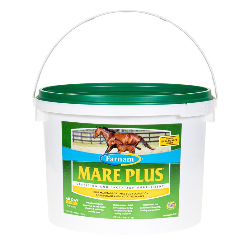 Mare Plus Gestation Lacation Supplement for Horses 5lb