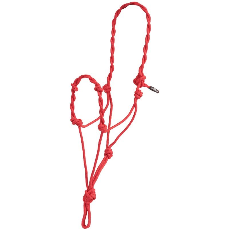 Twisted Rope Halter