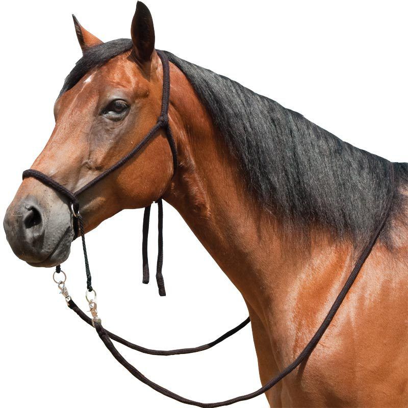 Bitless Bridle