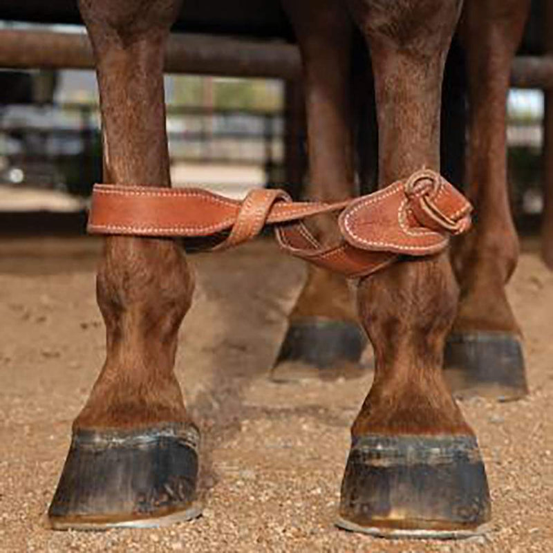 Professionals Choice Professional's Leather Twist Hobble