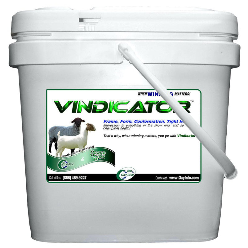 Vindicator 17lb