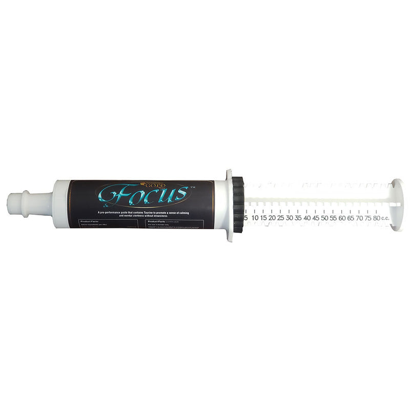 Focus Paste 80cc