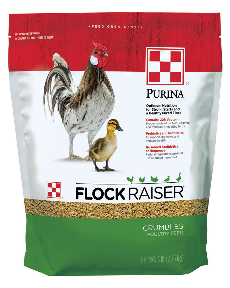 Purina Animal Nutrition Flock Raiser Crumbles, 5 Pound Bag