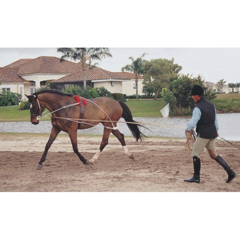 Pessoa Equestrian Supplies