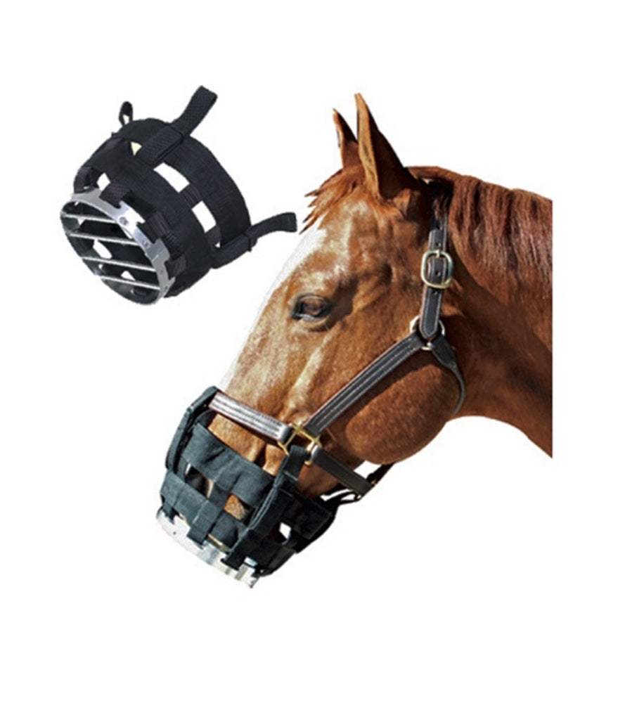 Best Friend Equine Supply Inc.