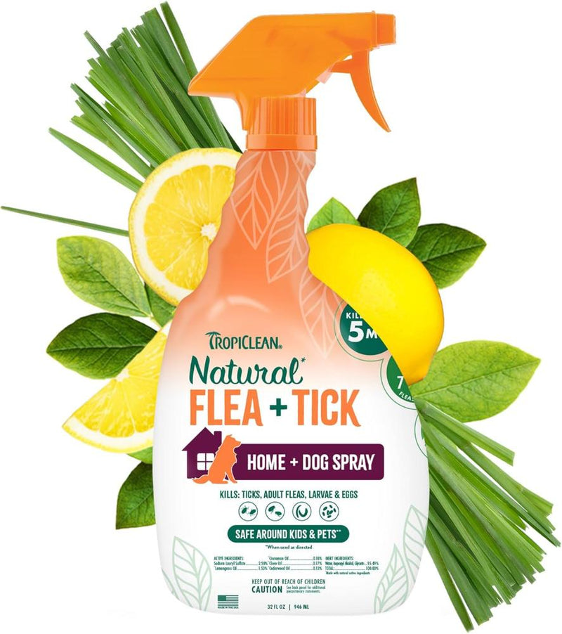 Natural Flea and Tick Spray for Home