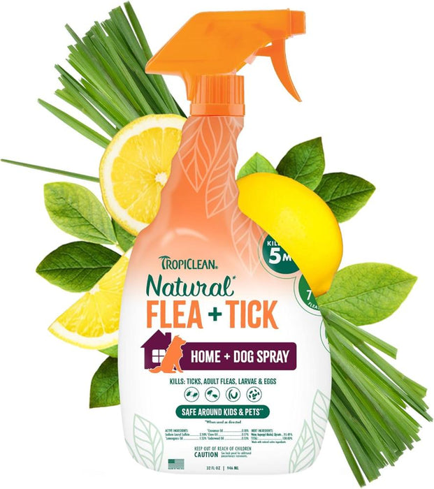 Natural Flea and Tick Spray for Home