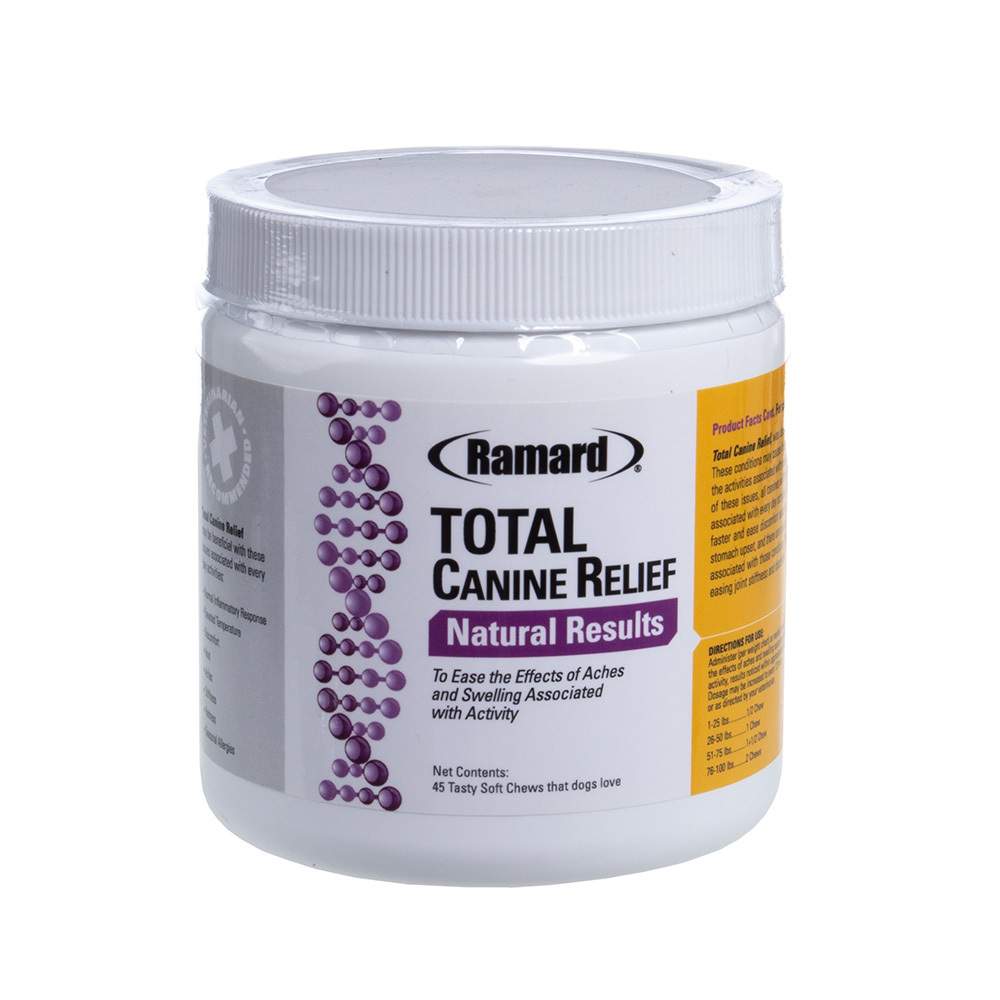 Dog Pain Management