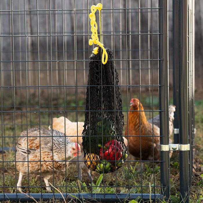 Chicken Treat Bag(10)