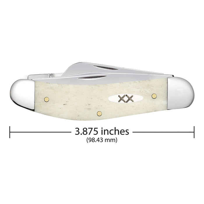 Case Knives Natural Bone Smooth Sowbelly Knife