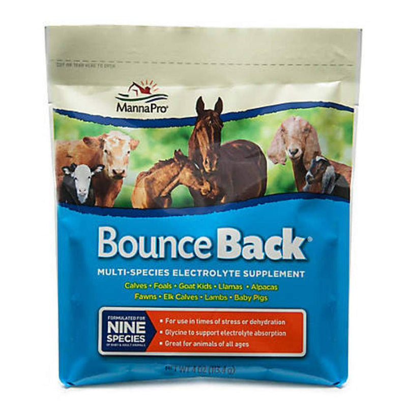 Bounce Back