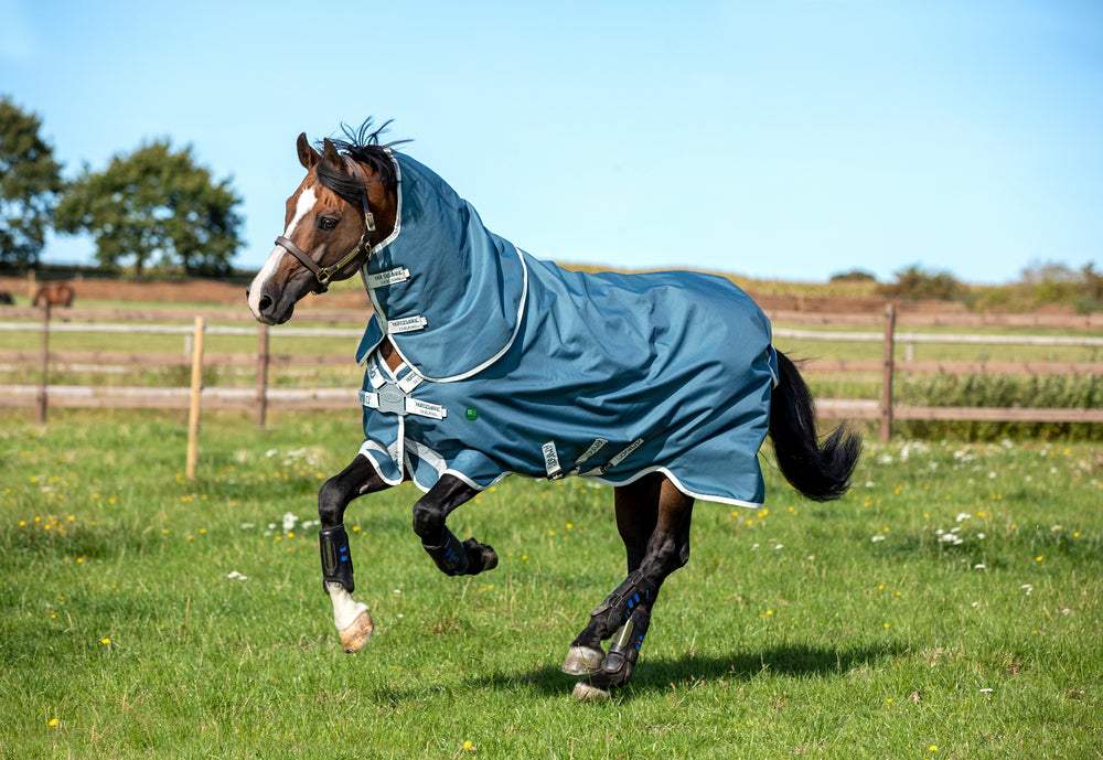 Horseware Amigo AmECO 12 Plus Turnout Lite
