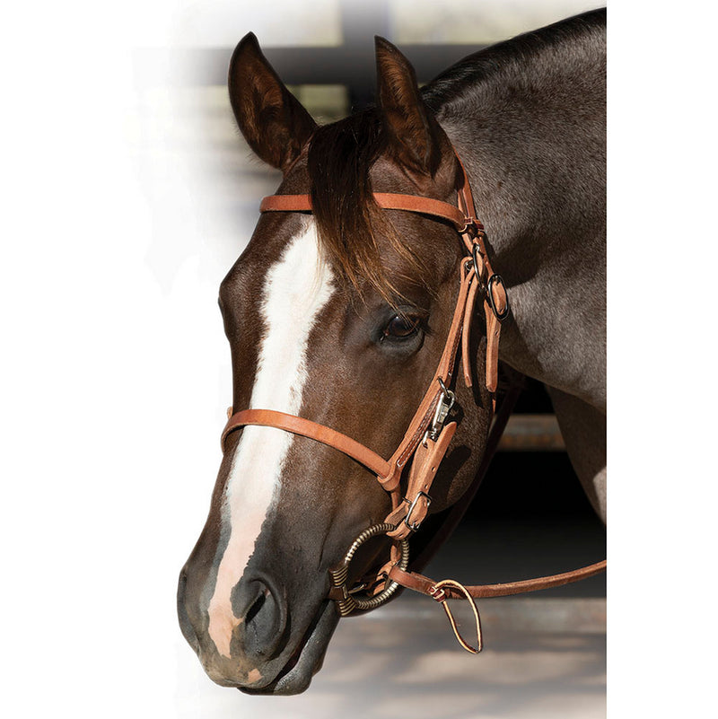 Leather Trail Bridle