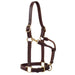 Large Horse 1in Oiled Track Halter