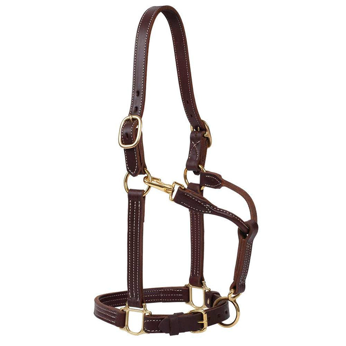 Horse 1in Oiled Track Halter