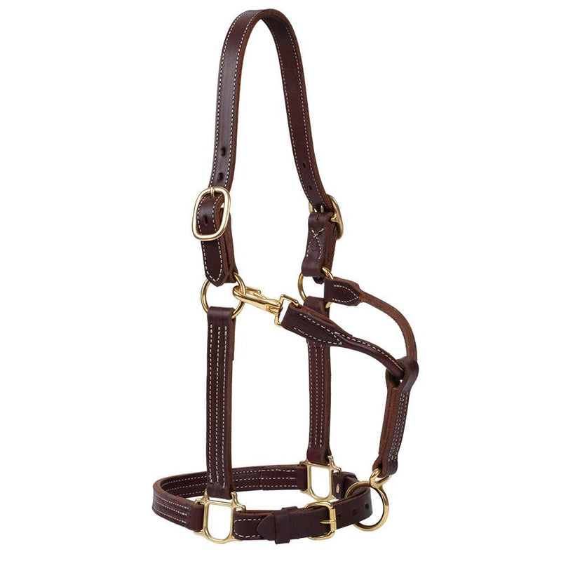 Small horse 1in Oiled Track Halter