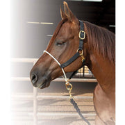 Rope Nose Nylon Halter