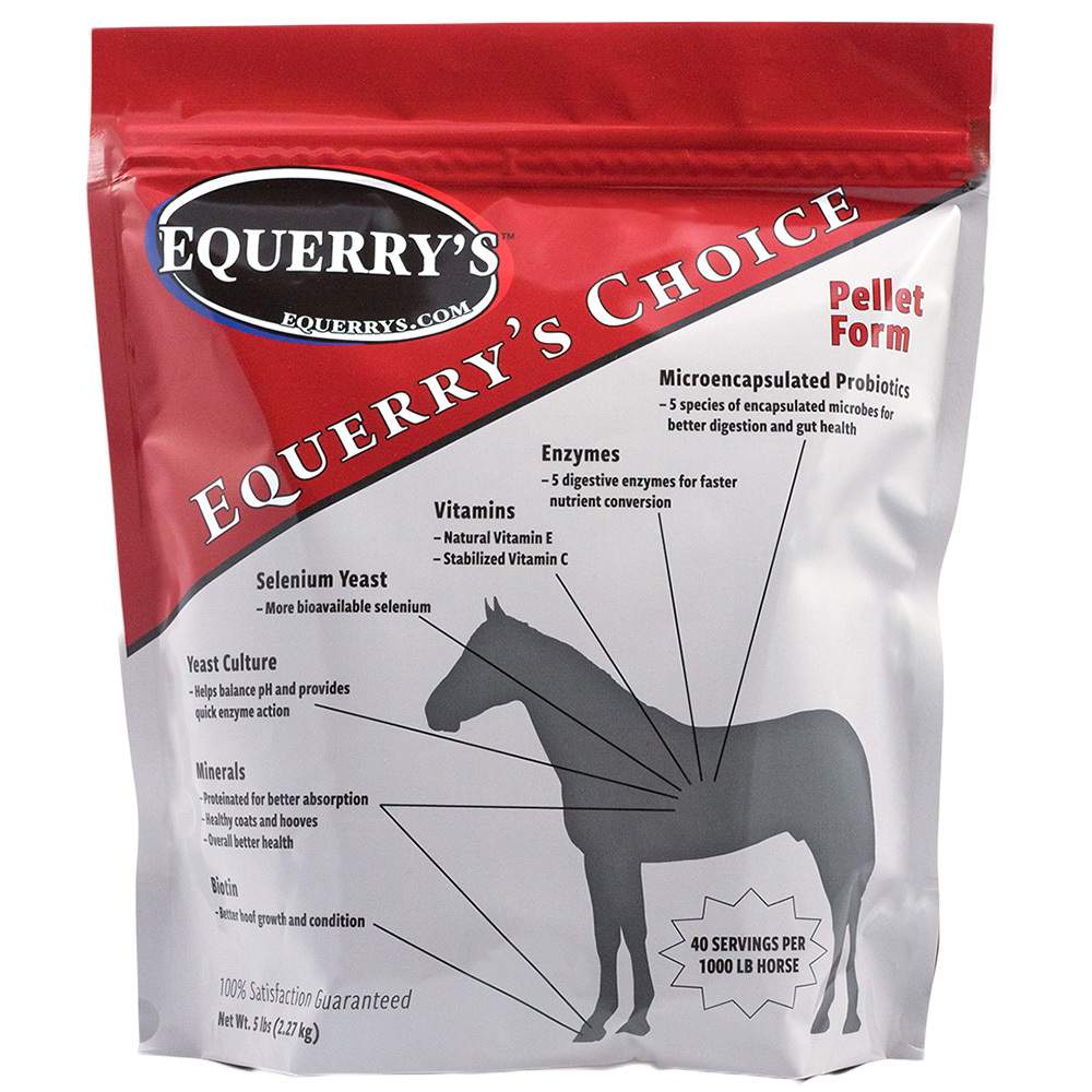 Equerry's Choice