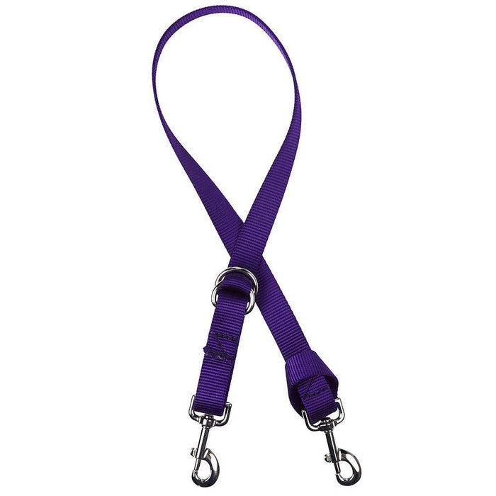 Purple Nylon 1in Tie Down Strap