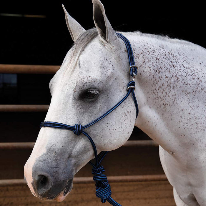 Easy On Rope Halter