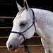 Easy On Rope Halter